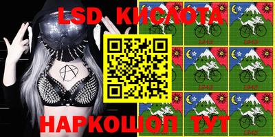 тгк Кингисепп