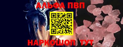 тгк Кингисепп