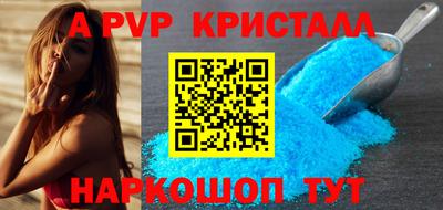 тгк Кингисепп