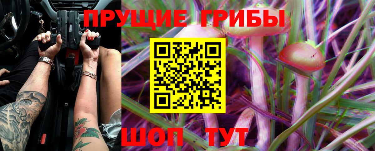 Псилоцибиновые грибы Psilocybine cubensis  Вход с VPN  Чебаркуль 