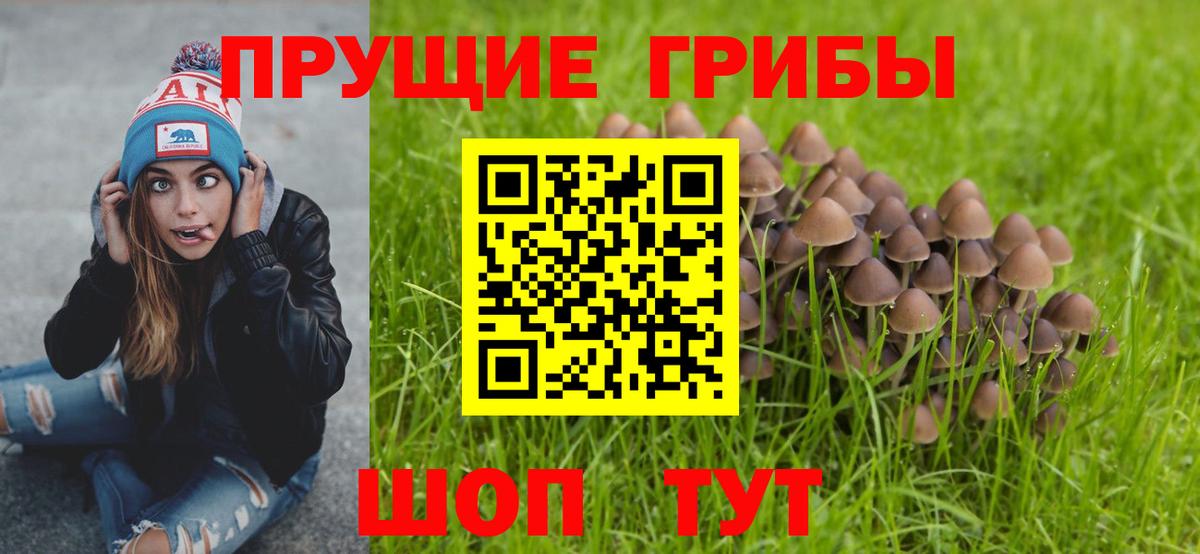 Псилоцибиновые грибы мицелий Чебаркуль